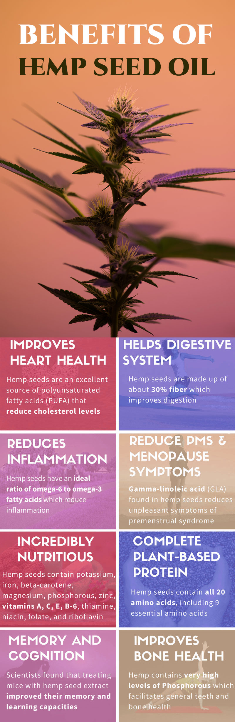 cannabis sativa hemp oil benefits
